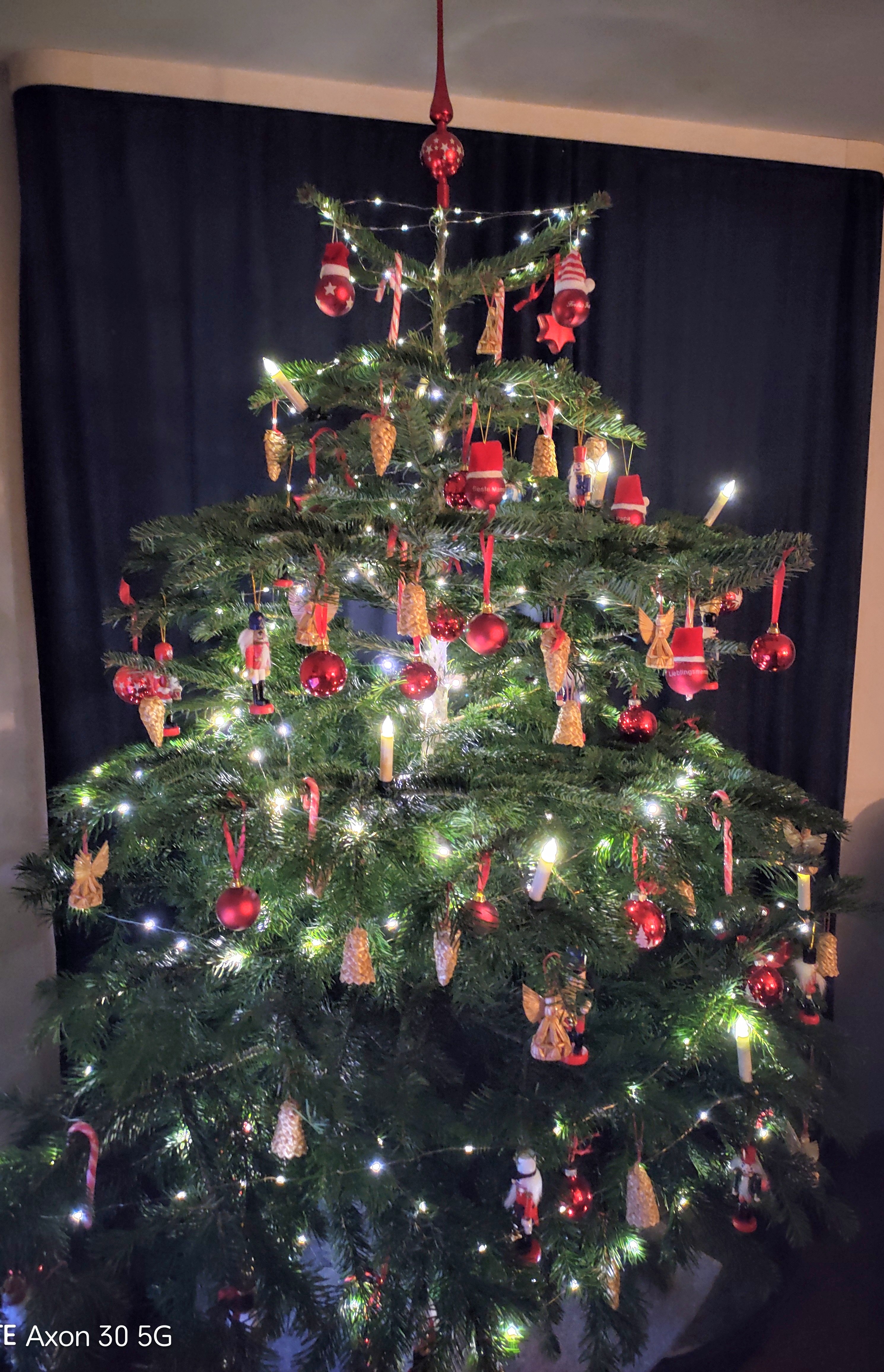 Weihnachtsbaum