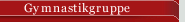 Gymnastikgruppe