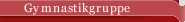 Gymnastikgruppe